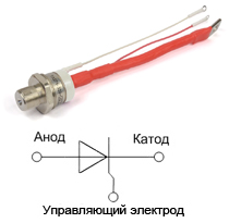 Полярность ТЛ271